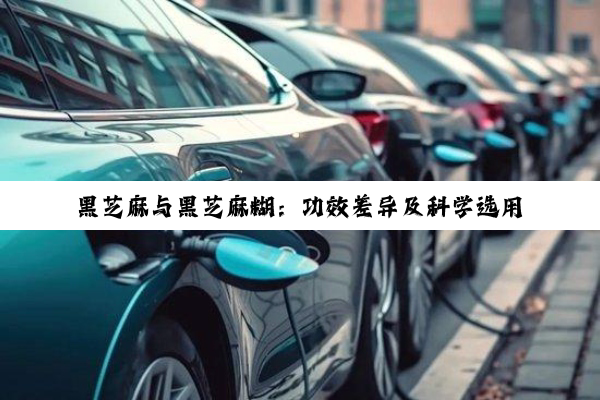 黑芝麻与黑芝麻糊：功效差异及科学选用指南