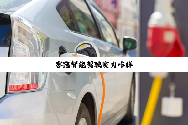零跑智能驾驶实力咋样