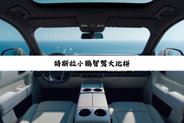 特斯拉小鹏智驾大比拼