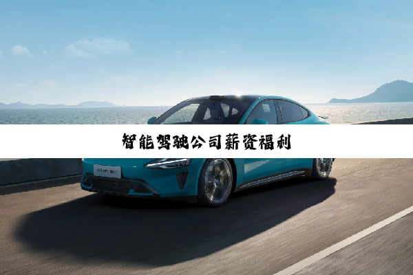 智能驾驶公司薪资福利