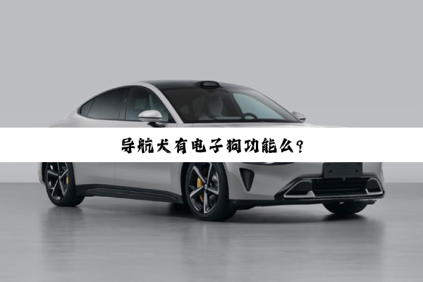 导航犬有电子狗功能么?