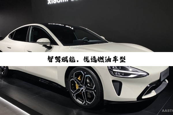 智驾赋能，优选燃油车型
