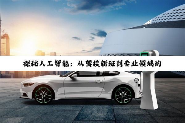 探秘人工智能：从驾校新班到专业领域的多元学习图景