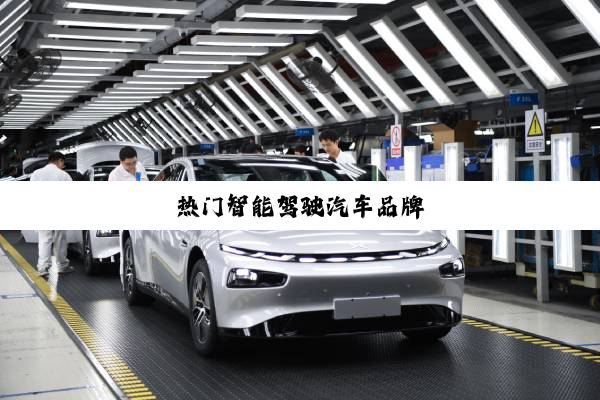 热门智能驾驶汽车品牌