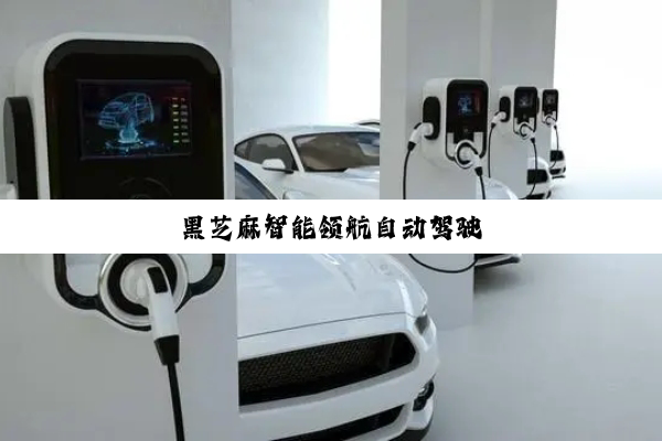 黑芝麻智能领航自动驾驶