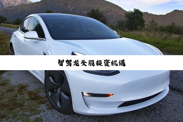 智驾龙头股投资机遇