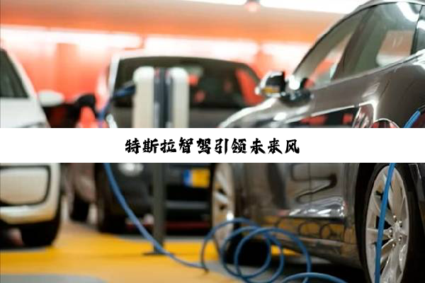 特斯拉智驾引领未来风