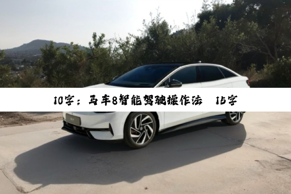 10字：马车8智能驾驶操作法
