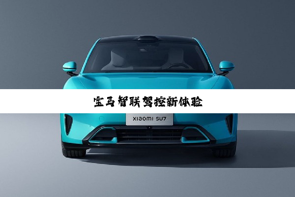 宝马智联驾控新体验