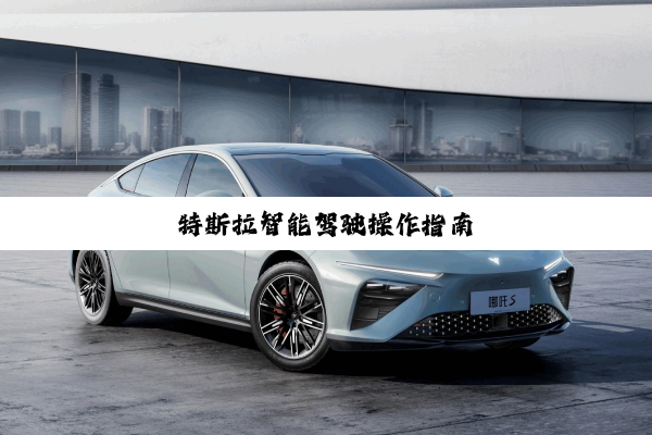 特斯拉智能驾驶操作指南