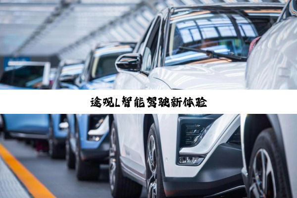途观L智能驾驶新体验