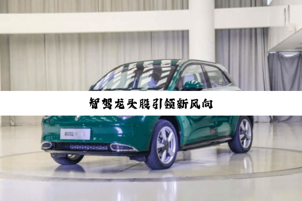 智驾龙头股引领新风向