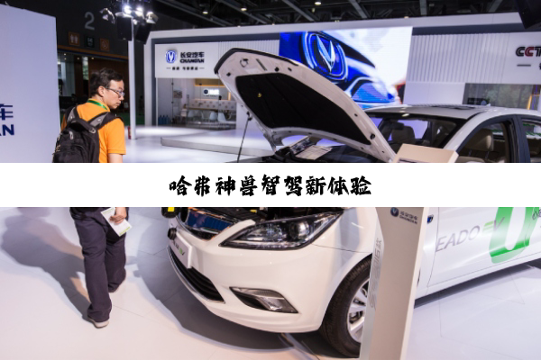 哈弗神兽智驾新体验